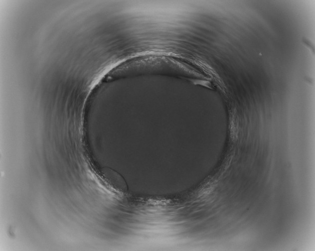 X0000099560484200805301544