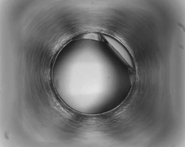 X0000099560485200805301544