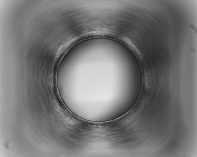 X0000099560486200805301544