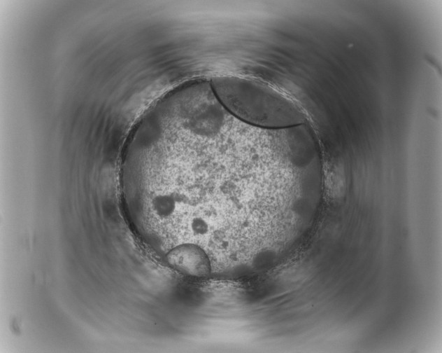 X0000099560487200805301544