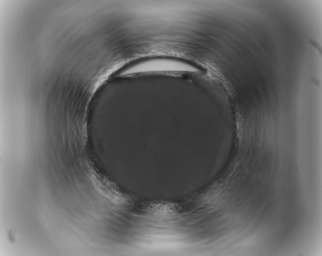 X0000099560488200805301544