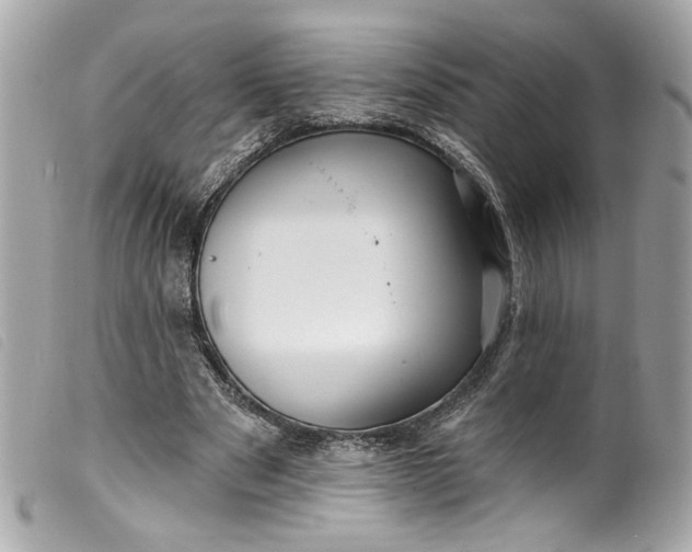 X0000099560489200805301544