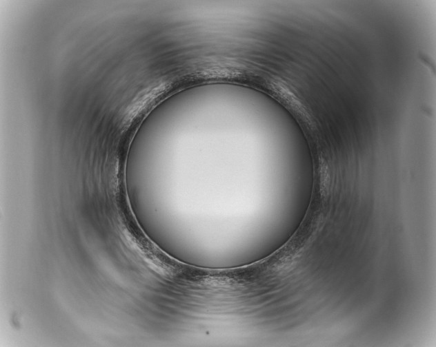 X0000099560490200805301544