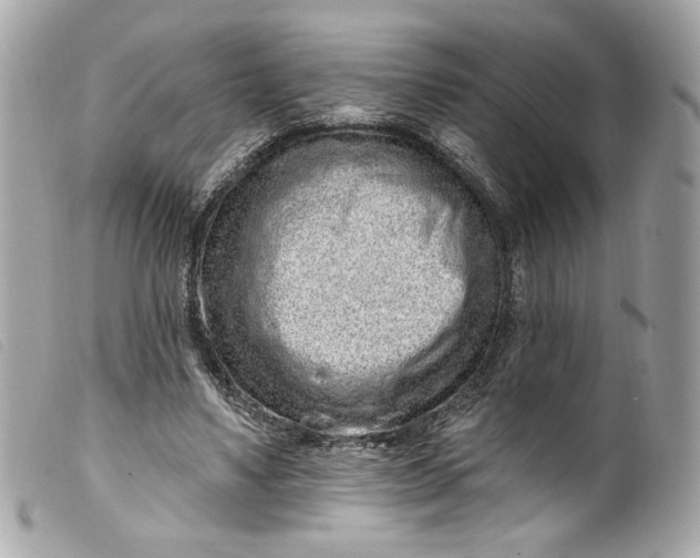 X0000099560491200805301544