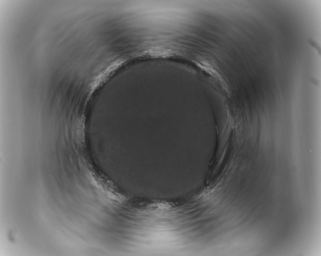 X0000099560492200805301544