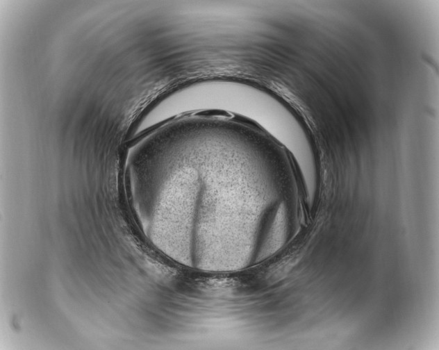 X0000099560493200805301544