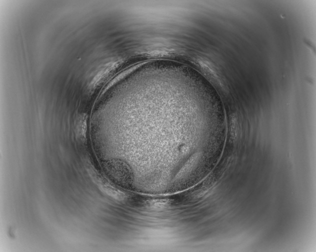 X0000099560495200805301544