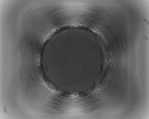 X0000099560496200805301544