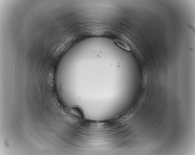 X0000099560497200805301544