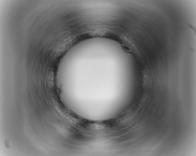 X0000099560498200805301544