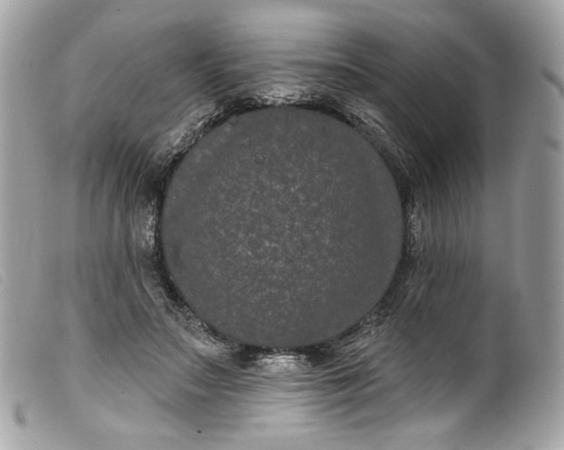 X0000099560499200805301544