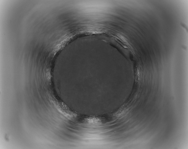 X0000099560500200805301544