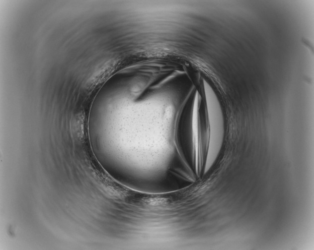 X0000099560501200805301544