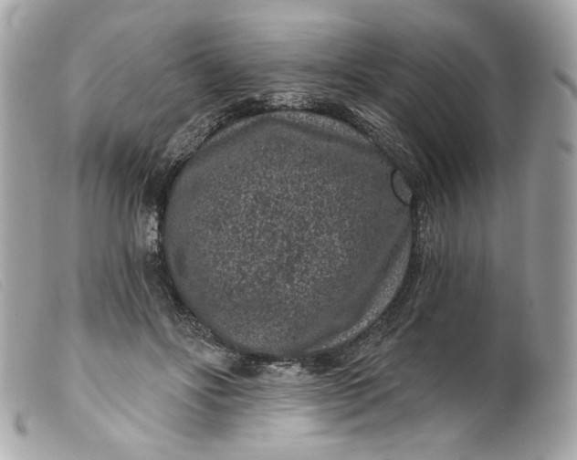 X0000099560502200805301544