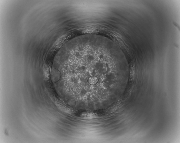 X0000099560503200805301544