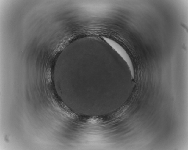 X0000099560504200805301544