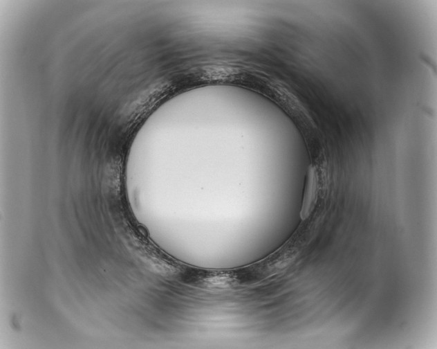 X0000099560505200805301544