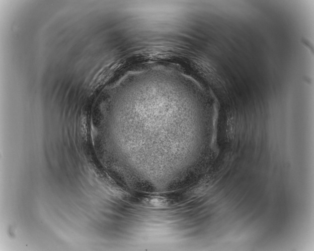 X0000099560506200805301544