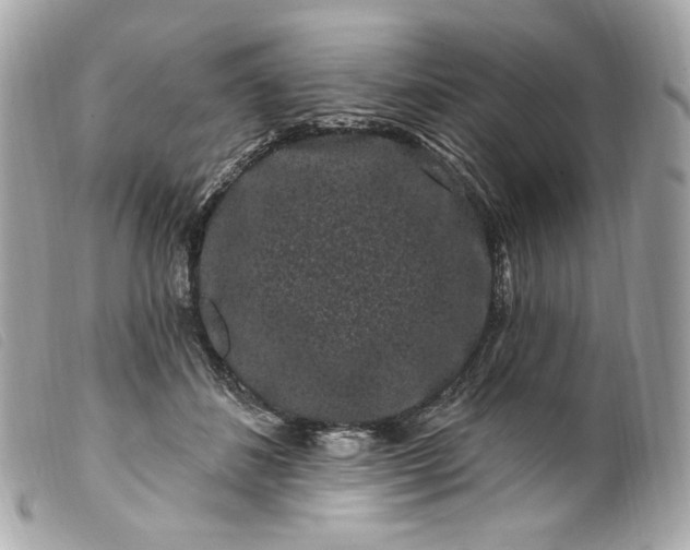 X0000099560508200805301544