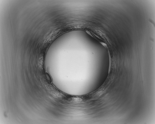 X0000099560509200805301544