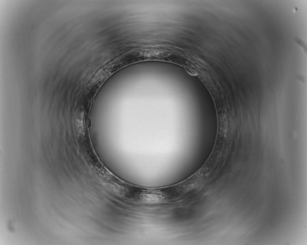 X0000099560510200805301544