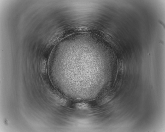 X0000099560511200805301544