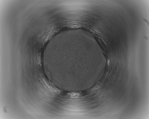 X0000099560512200805301544