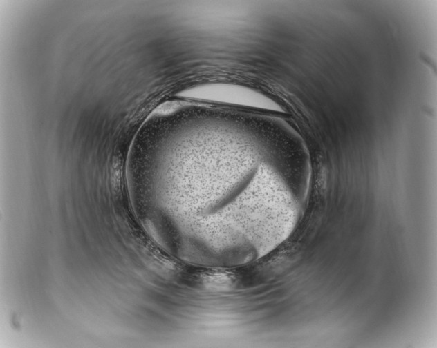 X0000099560513200805301544