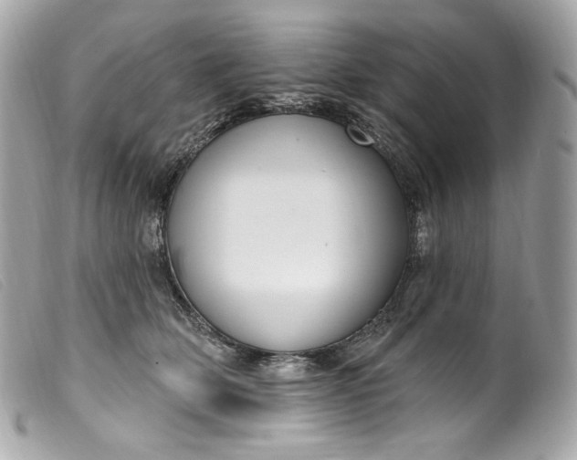 X0000099560514200805301544