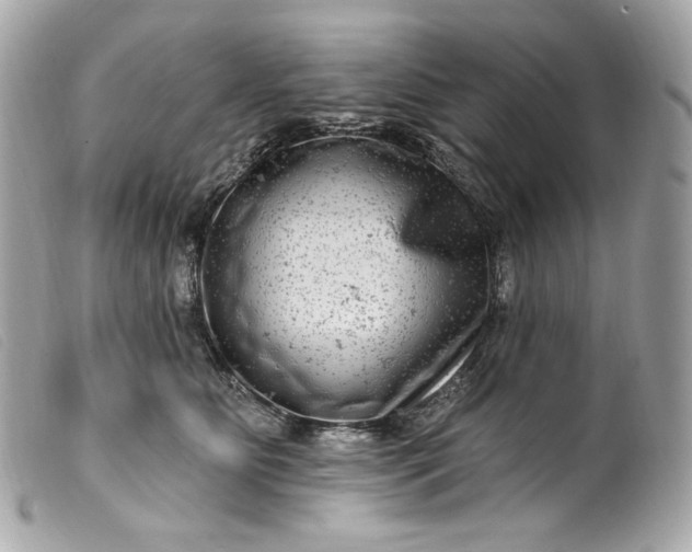 X0000099560515200805301544