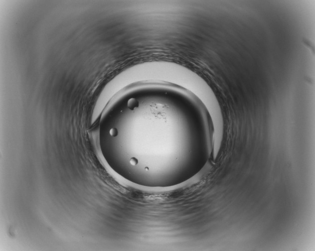 X0000099560516200805301544