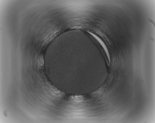 X0000099560517200805301544