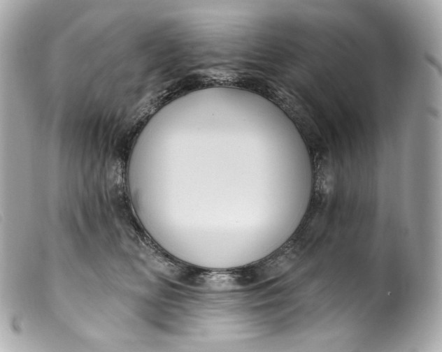 X0000099560518200805301544