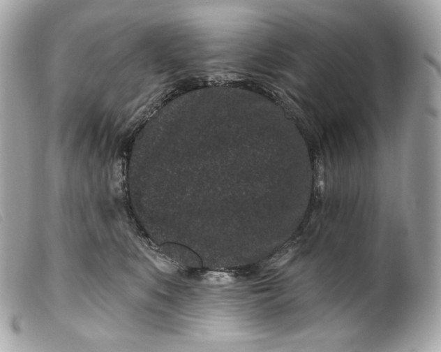 X0000099560519200805301544