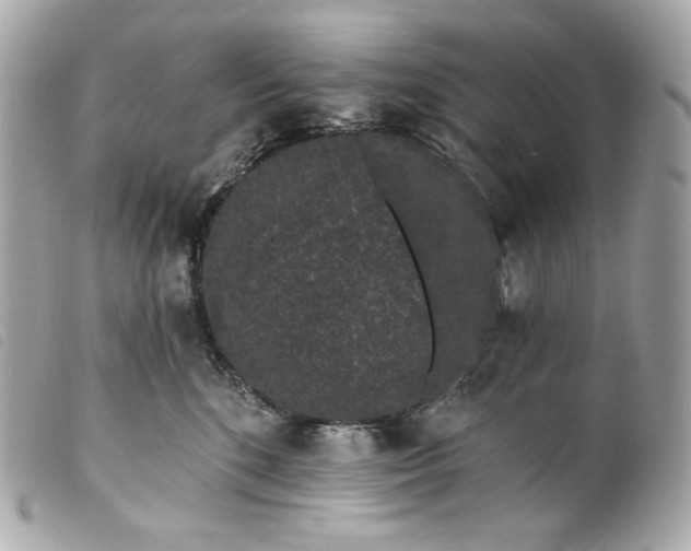 X0000099560520200805301544