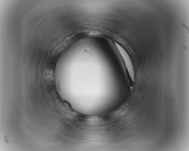 X0000099560521200805301544