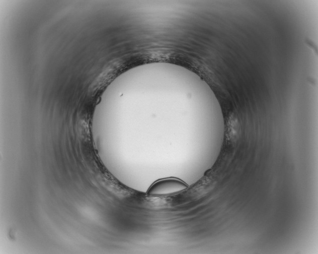 X0000099560522200805301544