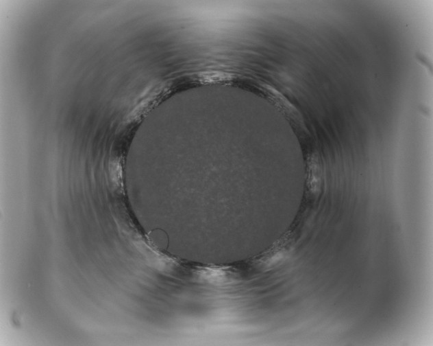 X0000099560523200805301544