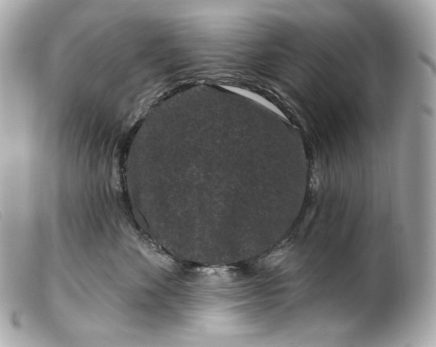 X0000099560524200805301544