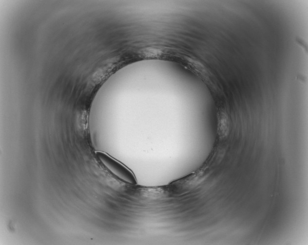 X0000099560525200805301544