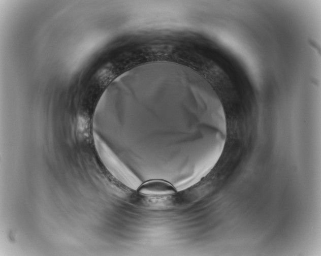 X0000099560526200805301544