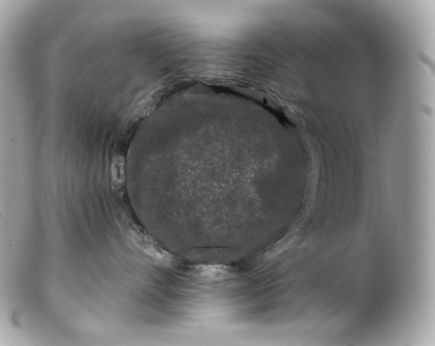 X0000099560528200805301544