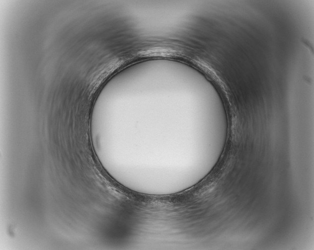 X0000099560529200805301543