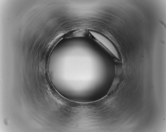 X0000099560530200805301543