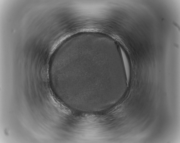 X0000099560531200805301543