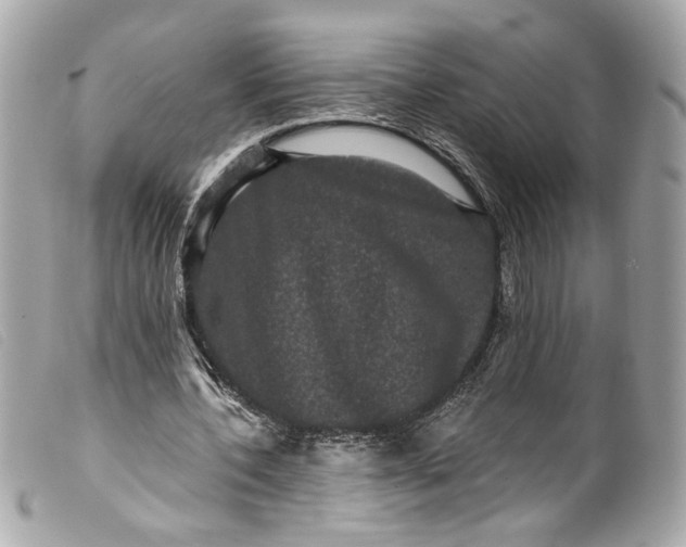 X0000099560532200805301543