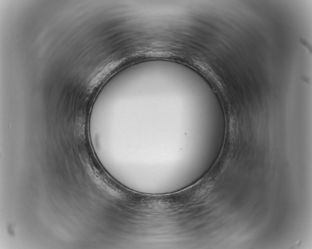 X0000099560533200805301543