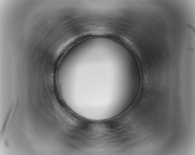 X0000099560535200805301543