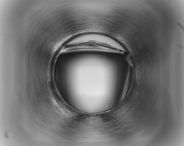 X0000099560536200805301543