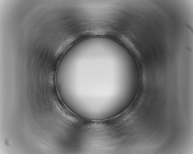 X0000099560537200805301543